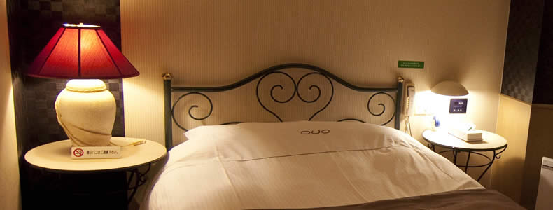 DUO-Fご利用料金